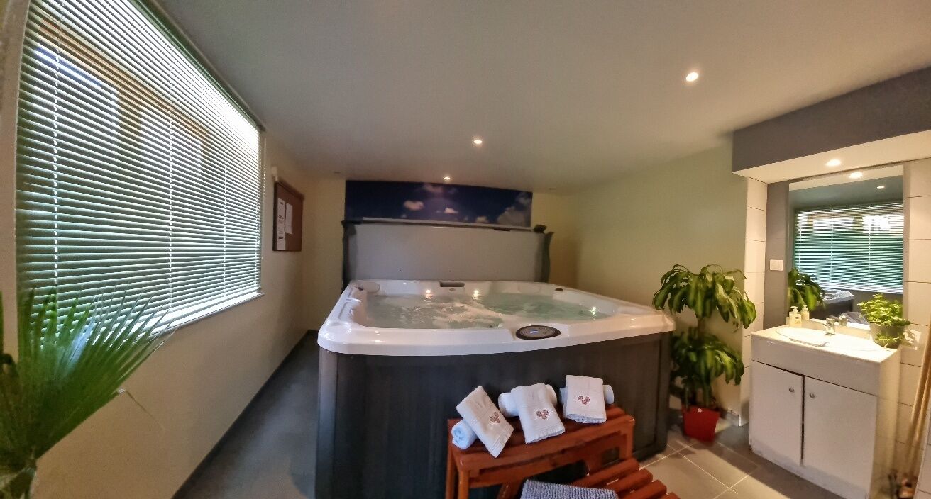 A modern bathroom with a freestanding hot tub, a vanity with a mirror, and a potted plant.