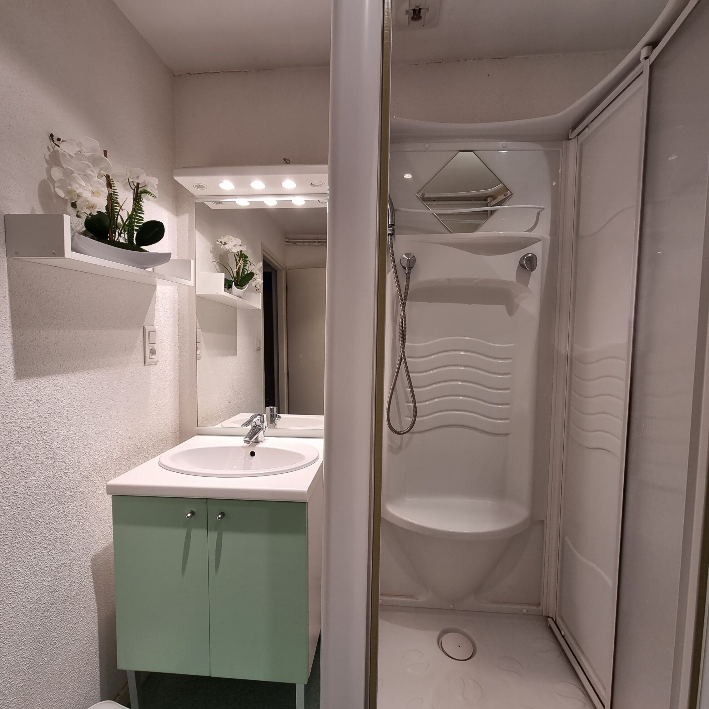 Shower, hair dryer, toilet paper