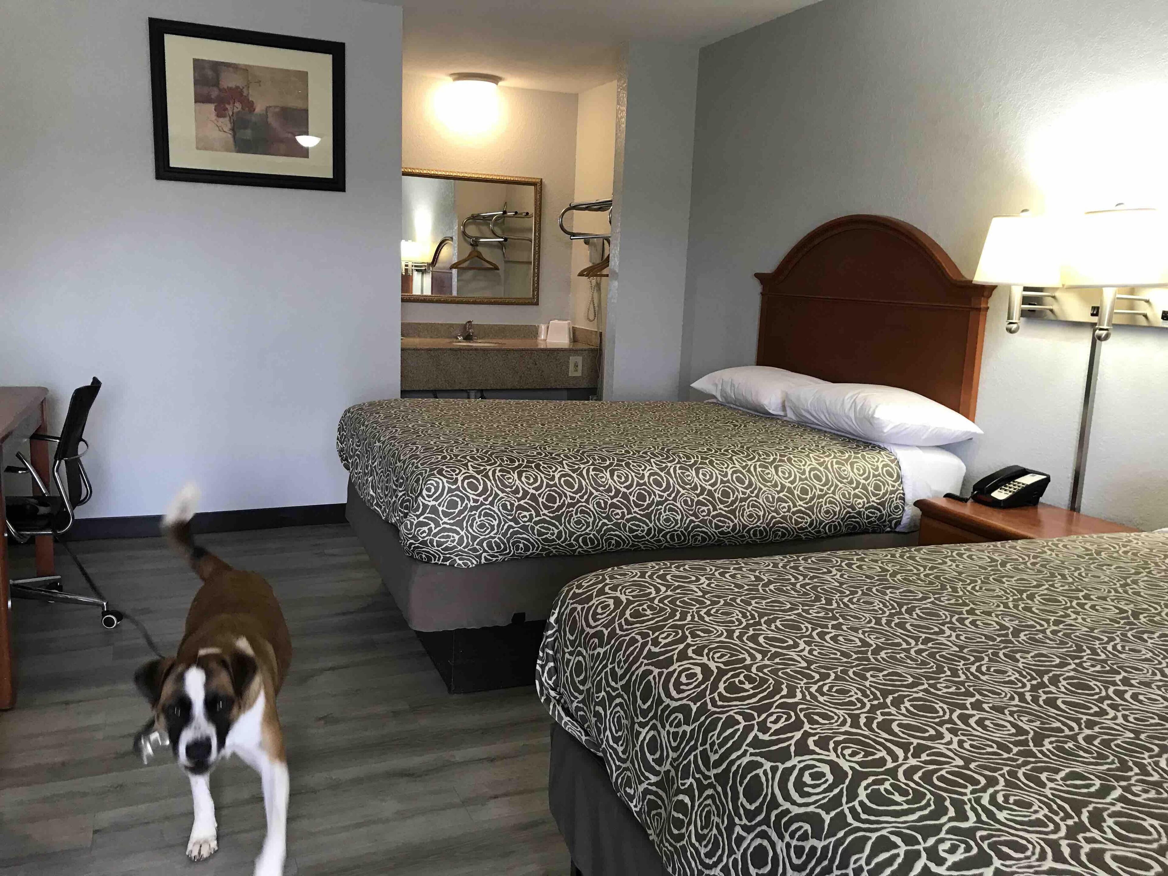 Une chambre d’hôtel avec deux lits, un bureau, une chaise, un miroir et un téléphone sur la table de chevet.