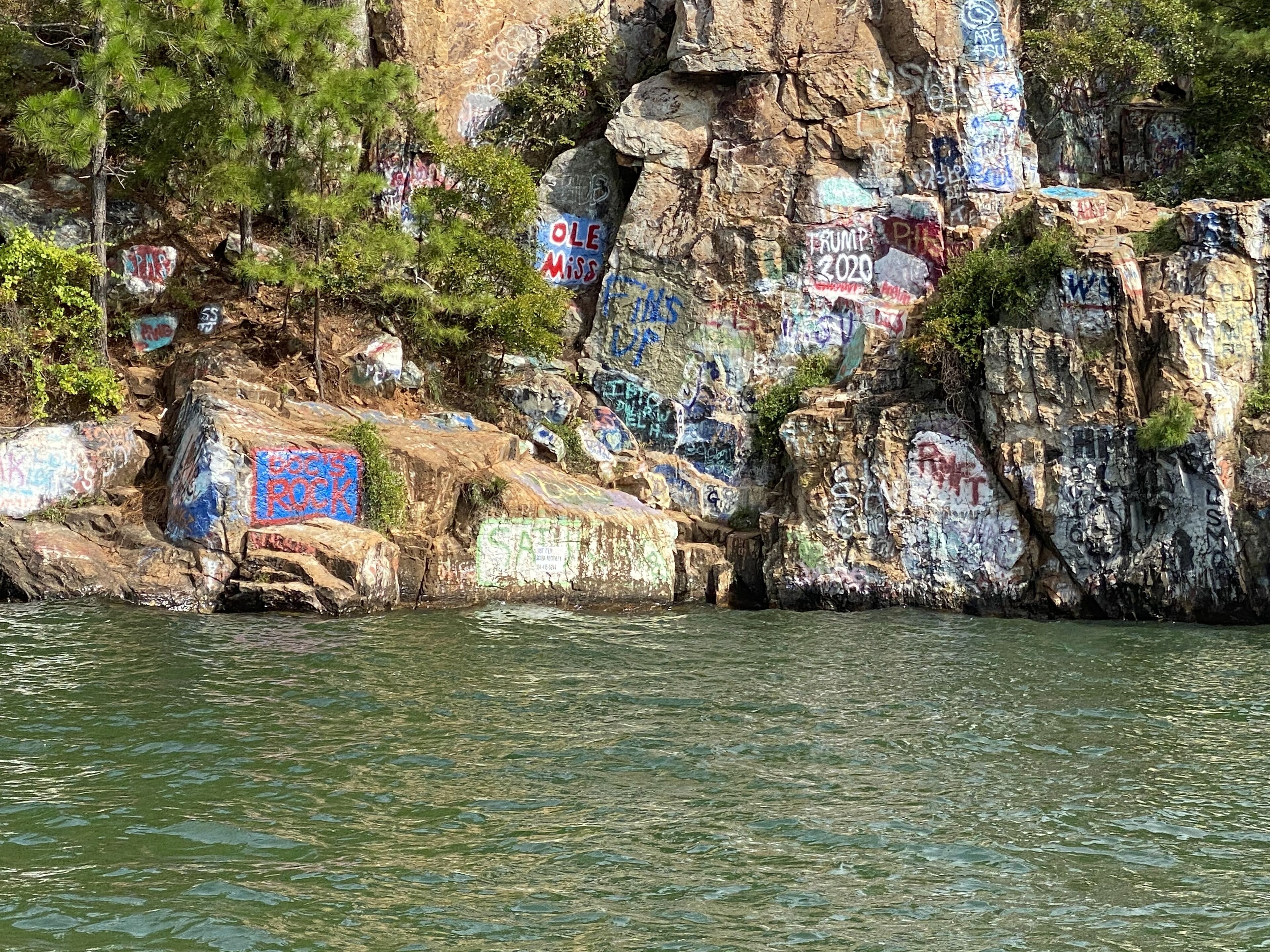 A rocky shoreline with graffiti-covered rocks and trees.