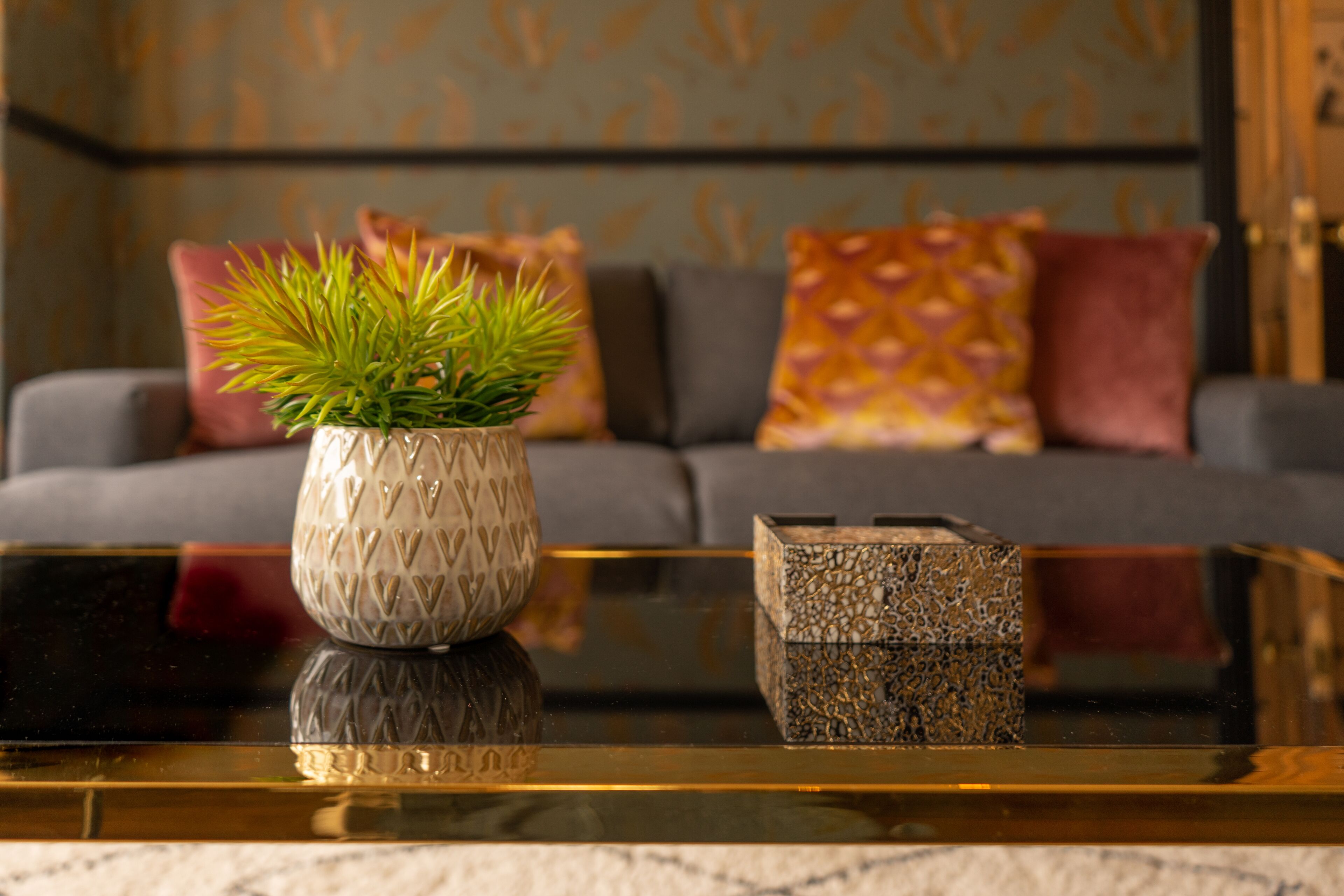 Un salon avec un canapé, des coussins décoratifs, une table basse en verre et une plante en pot.