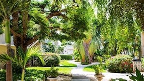 A lush garden pathway with palm trees and potted plants, leading to a building with a white facade and balconies. - Beach Living at Plantation Village BLGS (Seven Mile Beach)