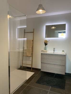 Shower, toilet paper - LA Petite Terrasse Lavoisier (La Rochelle)