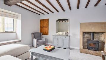 TV, fireplace, DVD player