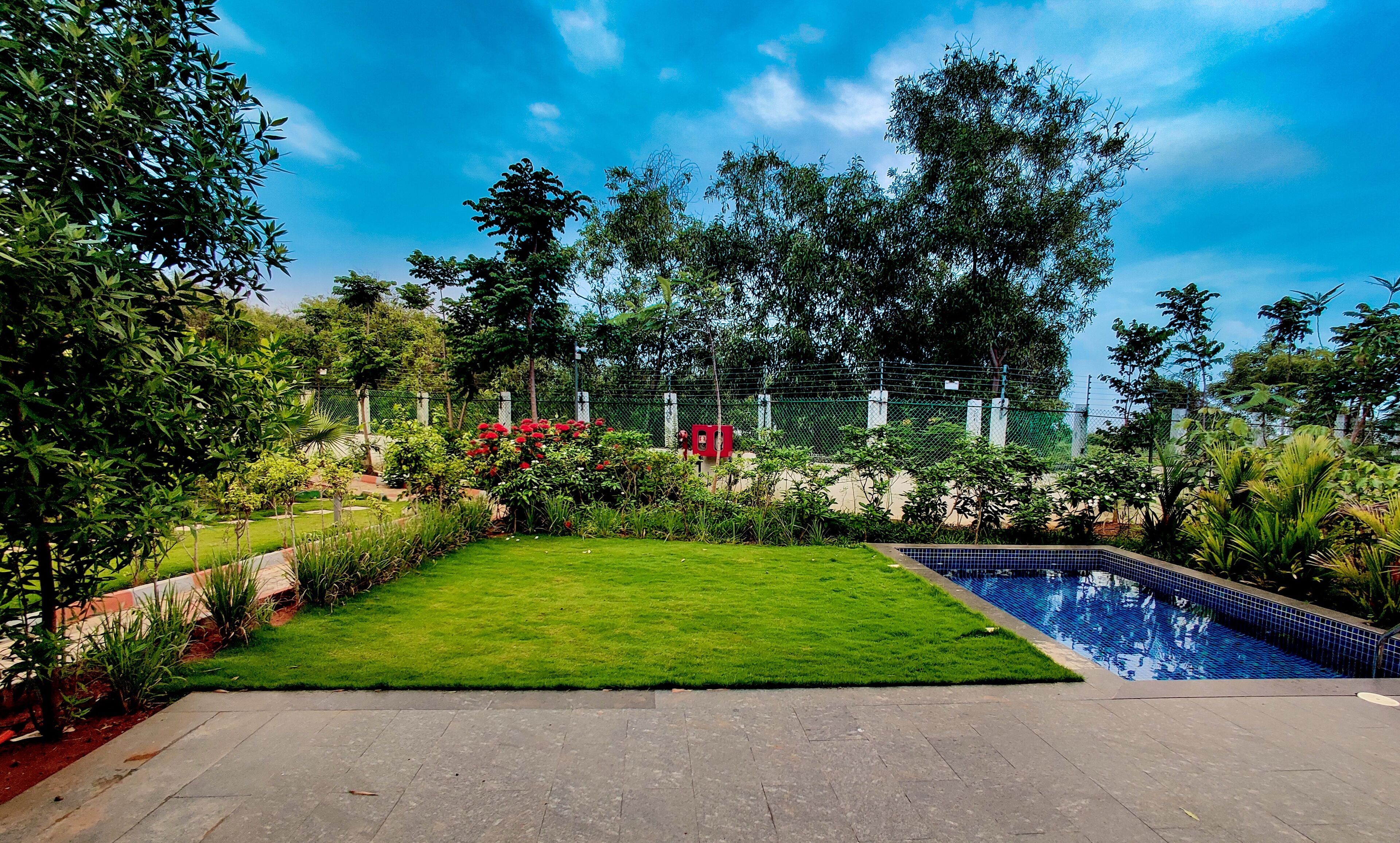 A well-maintained garden with a swimming pool, surrounded by lush greenery and a clear blue sky.