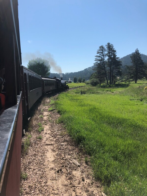 A train moving through a rural area with green fields and trees in the background.