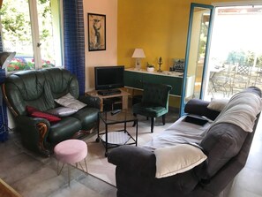 TV, DVD player, books, video library