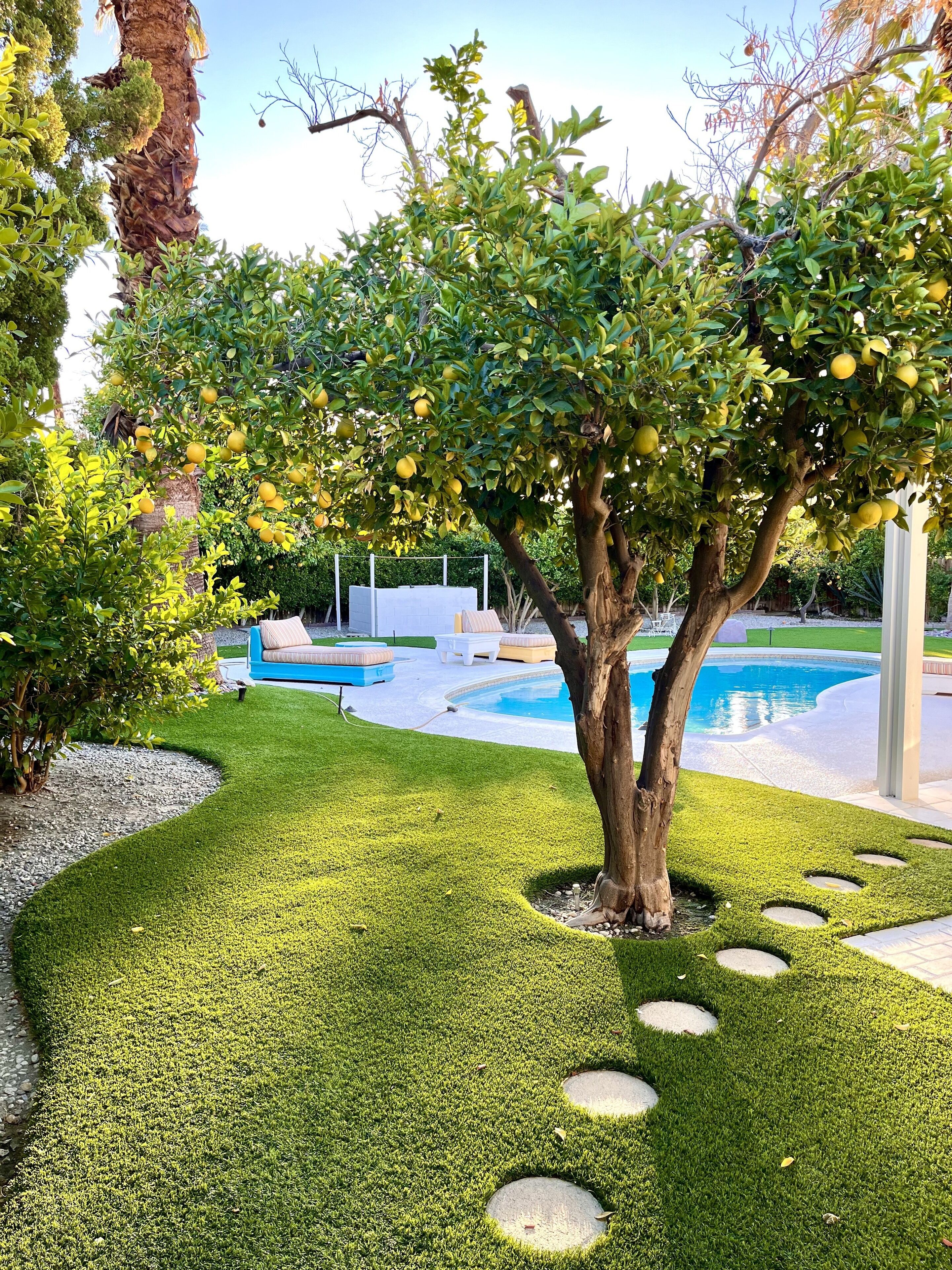 A well-maintained garden with a swimming pool, stone steps, and outdoor furniture.