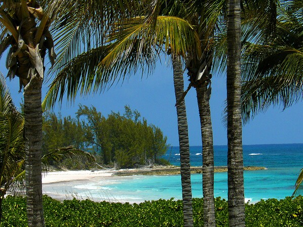 Beach nearby, sun loungers, beach towels
