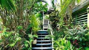 A staircase surrounded by lush greenery, leading to a covered area with a railing.