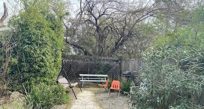 3 Bdrm, Downtown Apartment Near Hospitals & Cafes