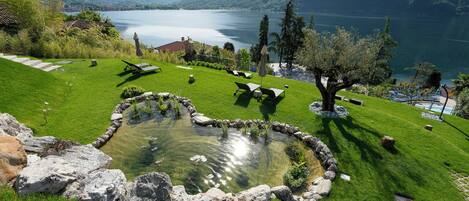 Ein ruhiger Garten am See mit Teich, Liegestühlen und einem Kiesweg.