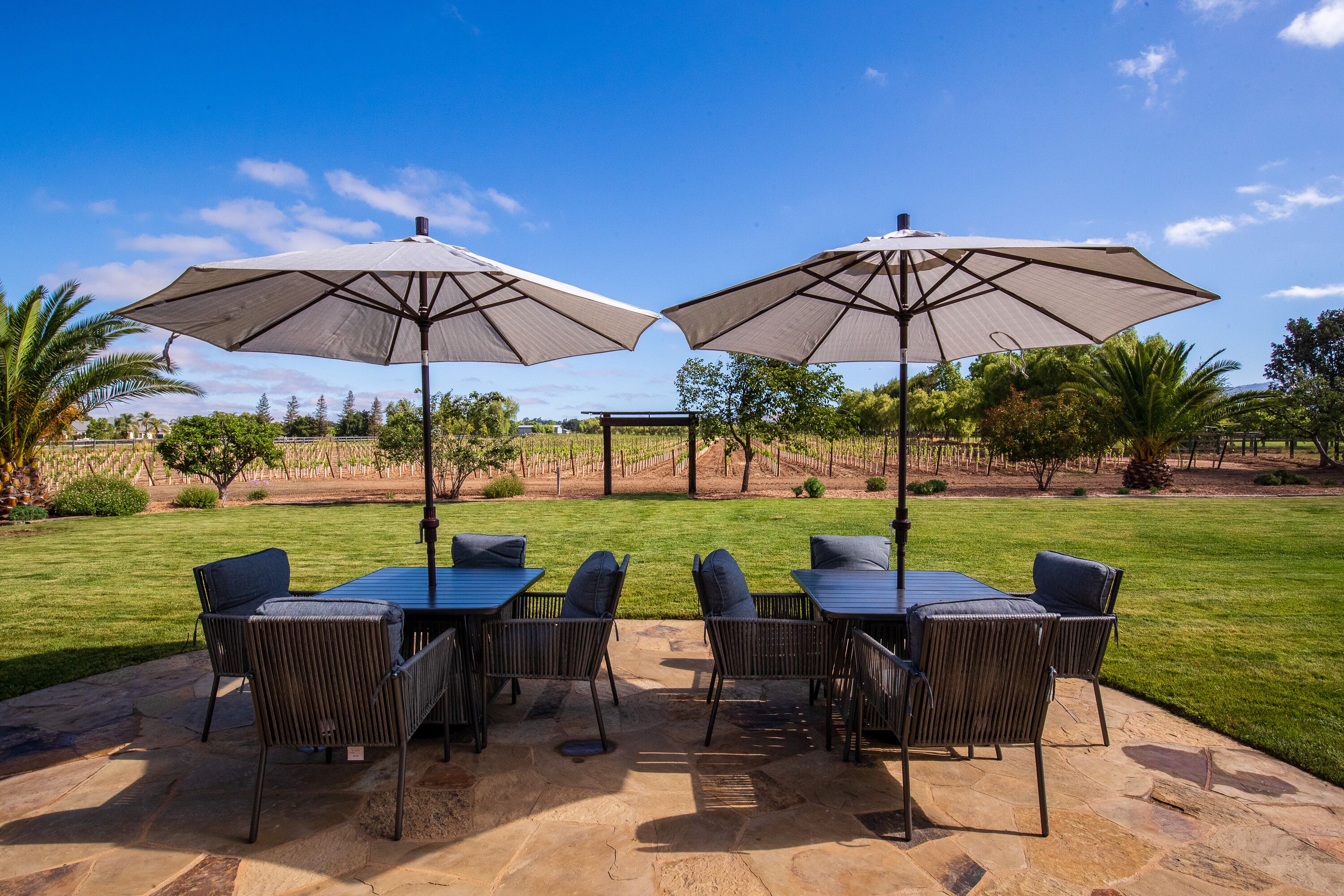 Organic Vineyard w/ Bocce & Game Room. Sleeps 8