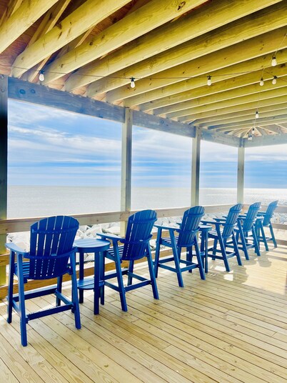 Driftwood paradise, ocean view!