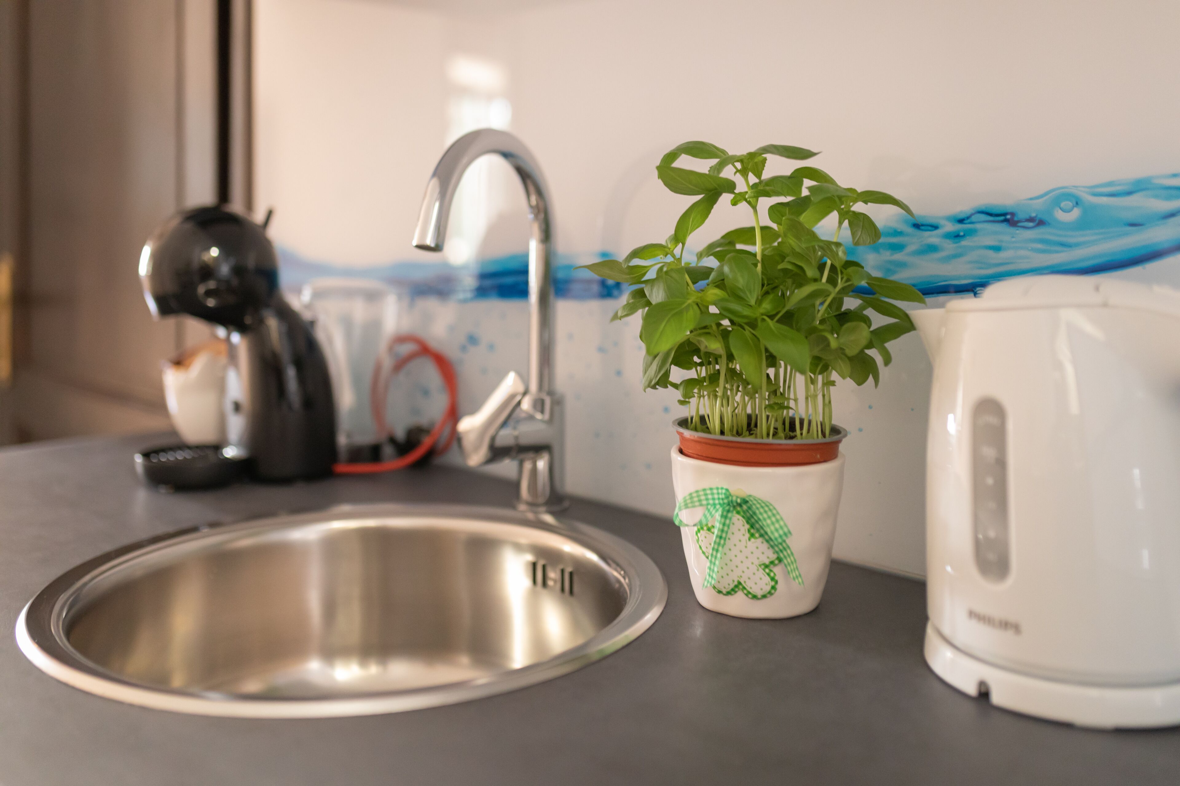 Uma pia de cozinha, uma chaleira e um vaso com planta em uma bancada.