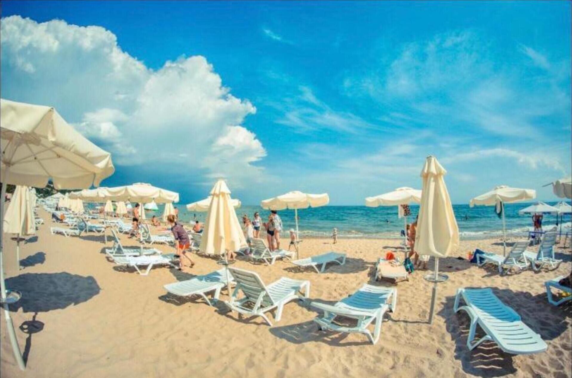 Apartment, 1 Queen Bed with Sofa bed | Beach