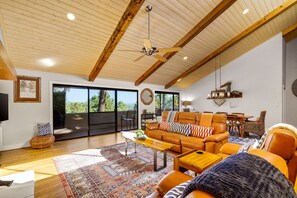 Smart TV, fireplace, books
