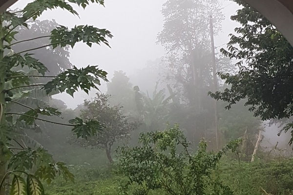 Blick von der Unterkunft