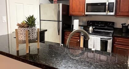 Cozy Sandy Springs Condo