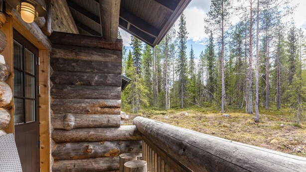 Eine Holzblockhütte mit einer Holzdiele und Blick auf einen Wald.