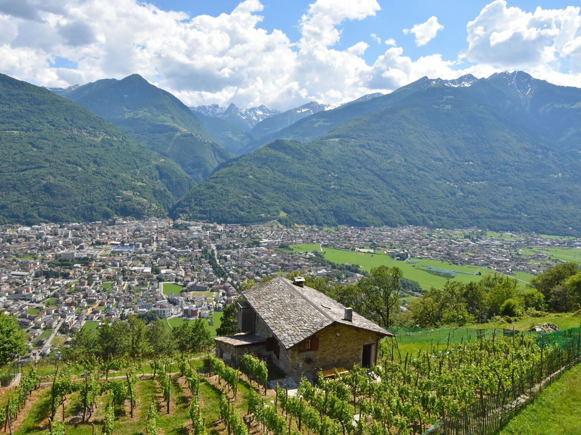 Esterni