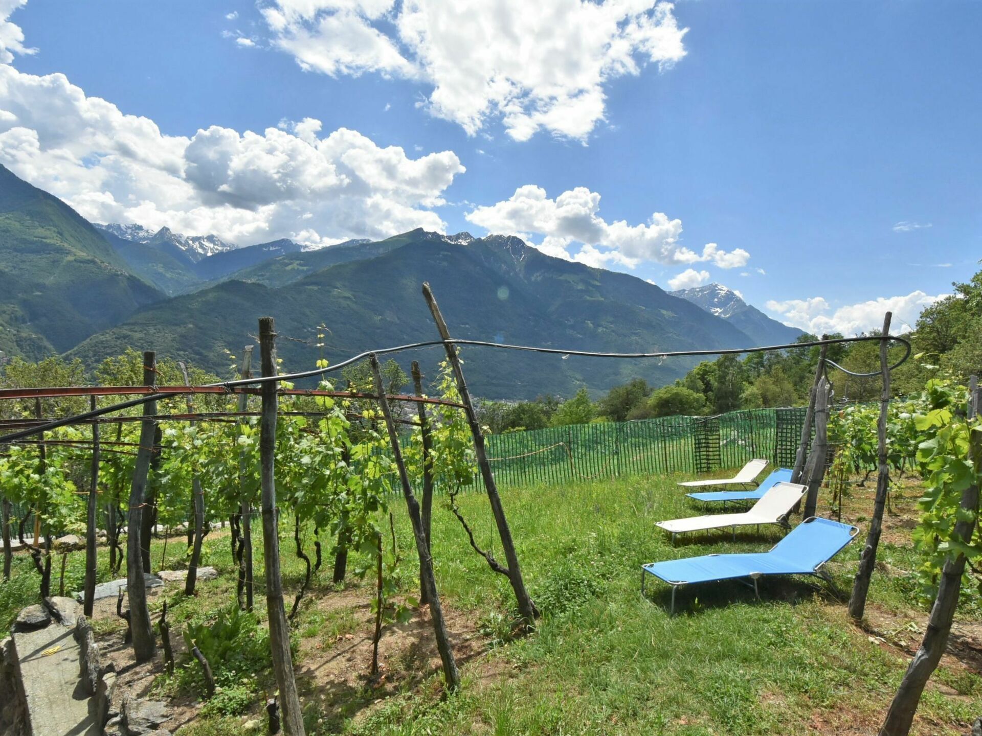 Parco della struttura