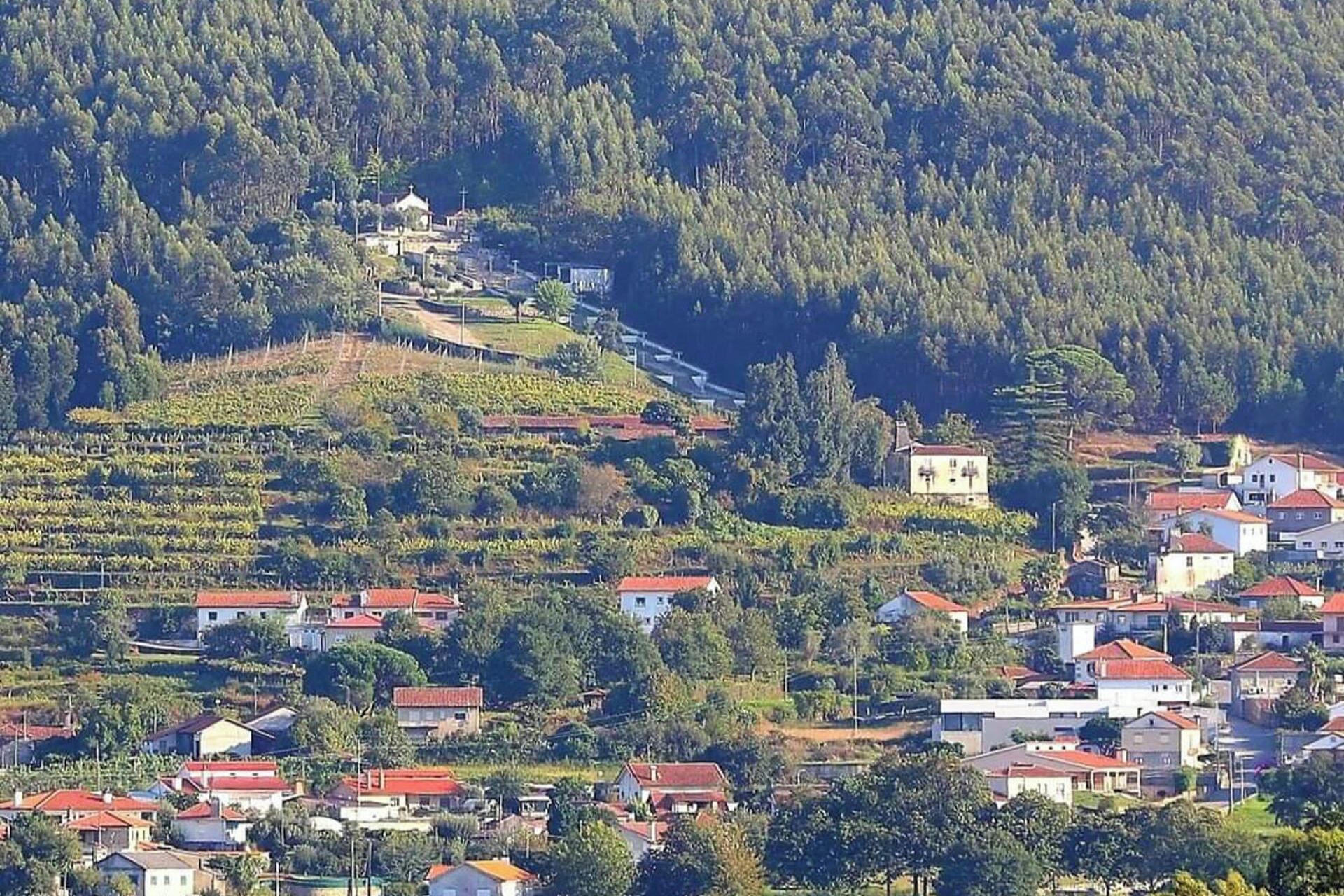 Sekalaista