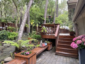 Stroll through the serene garden, surrounded by lush greenery and a variety of plants, including ferns and flowering shrubs.
