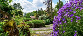 Romantic wooden cottage with lots of art