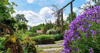 Romantic wooden cottage with lots of art