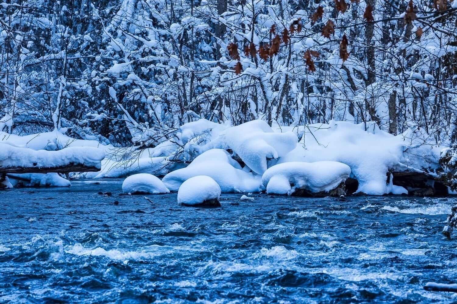 Une rivière bordée de formations de glace et d’arbres recouverts de neige.