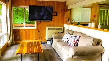 TV, fireplace, Netflix, books