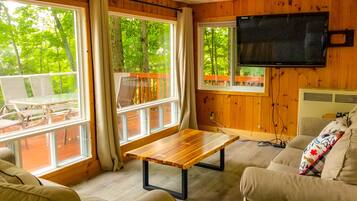 TV, fireplace, Netflix, books