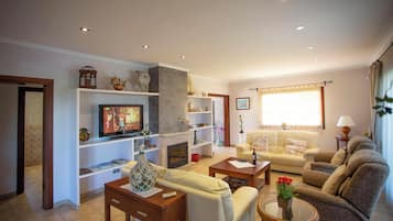 Télévision, cheminée, chaßne hi-fi