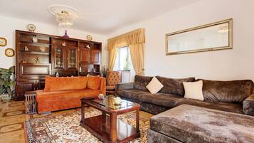 Televisor, llar de foc, taula de tennis de taula i estèreo