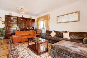 Télévision, cheminée, table de tennis de table, chaîne hi-fi