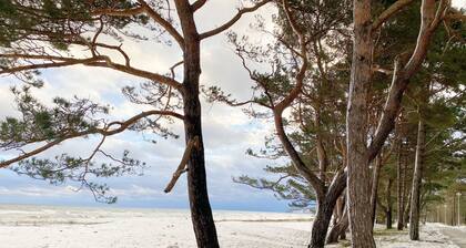 F: Strandhaus Ostseewelle mit Terrasse - Strandhaus Ostseewelle mit Terrasse