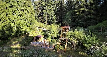 Entire room. Ocean, mountain view. Hot tub. Next to the Mount Maxwell park.