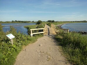 Imagen sin descripción, 3 de 13, botón