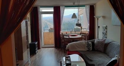 Brockenblick H-8-2