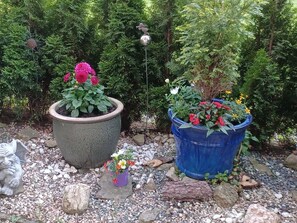 Billede uden beskrivelse, 3 af 11, knap