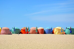 Nära stranden