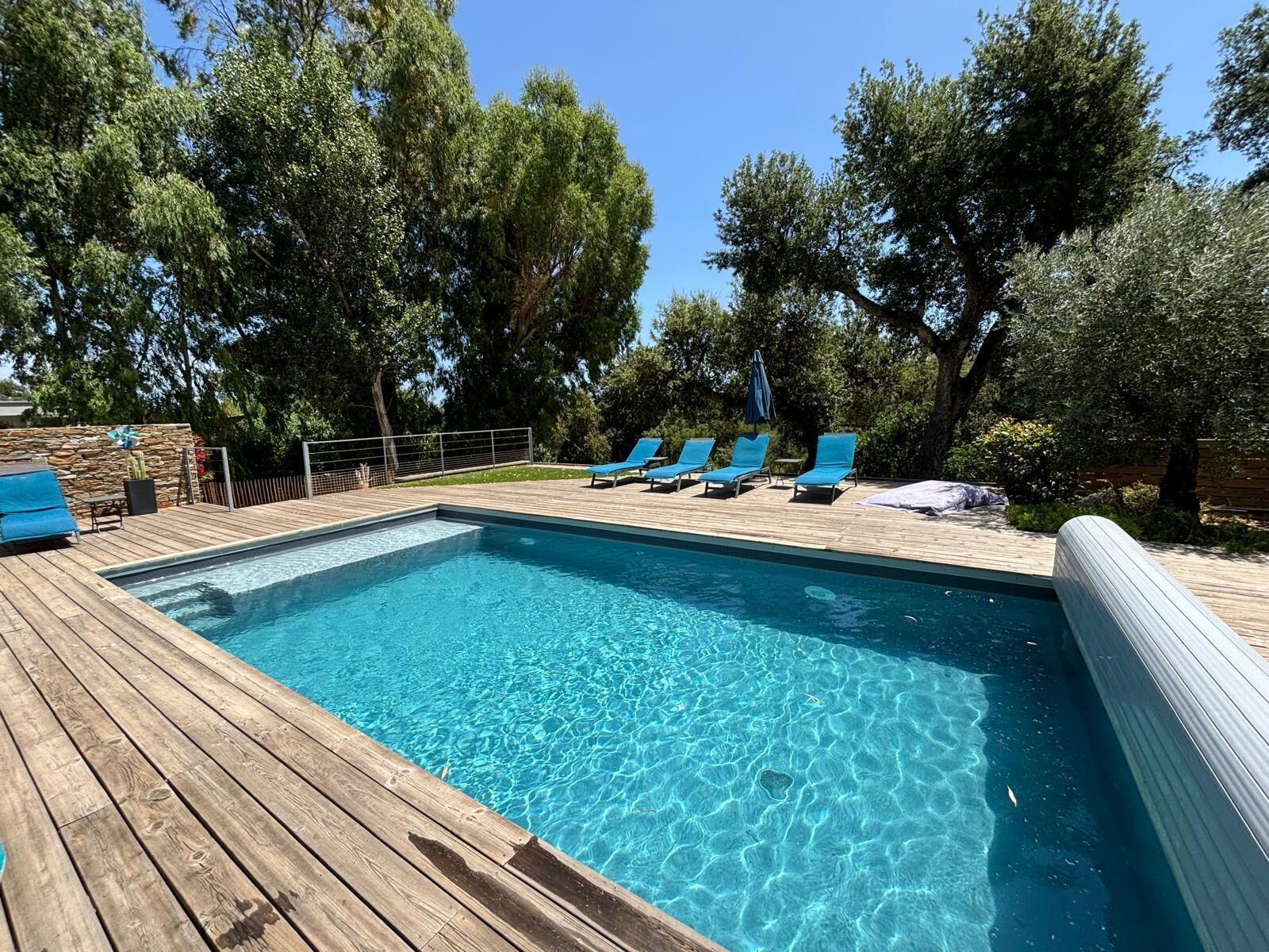 Ein rechteckiger Swimmingpool mit klarem, blauem Wasser, umgeben von einer Holzterrasse. Entlang des Poolrandes stehen mehrere blaue Liegestühle.