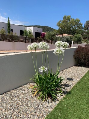 Property grounds - Villa Pienezza 8p 4 bedrooms very quiet Pinarellu 5min from beaches Heated swimming pool (Pinarellu)