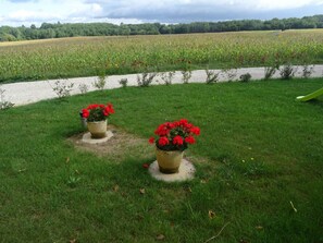 Terrain de l’hébergement 