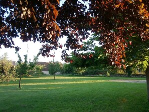 Property grounds - Spacious house with Wifi, near Cherveix-Cubas (Cherveix-Cubas)