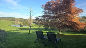 A grassy outdoor area with two black metal chairs and a tree with autumn-colored leaves.