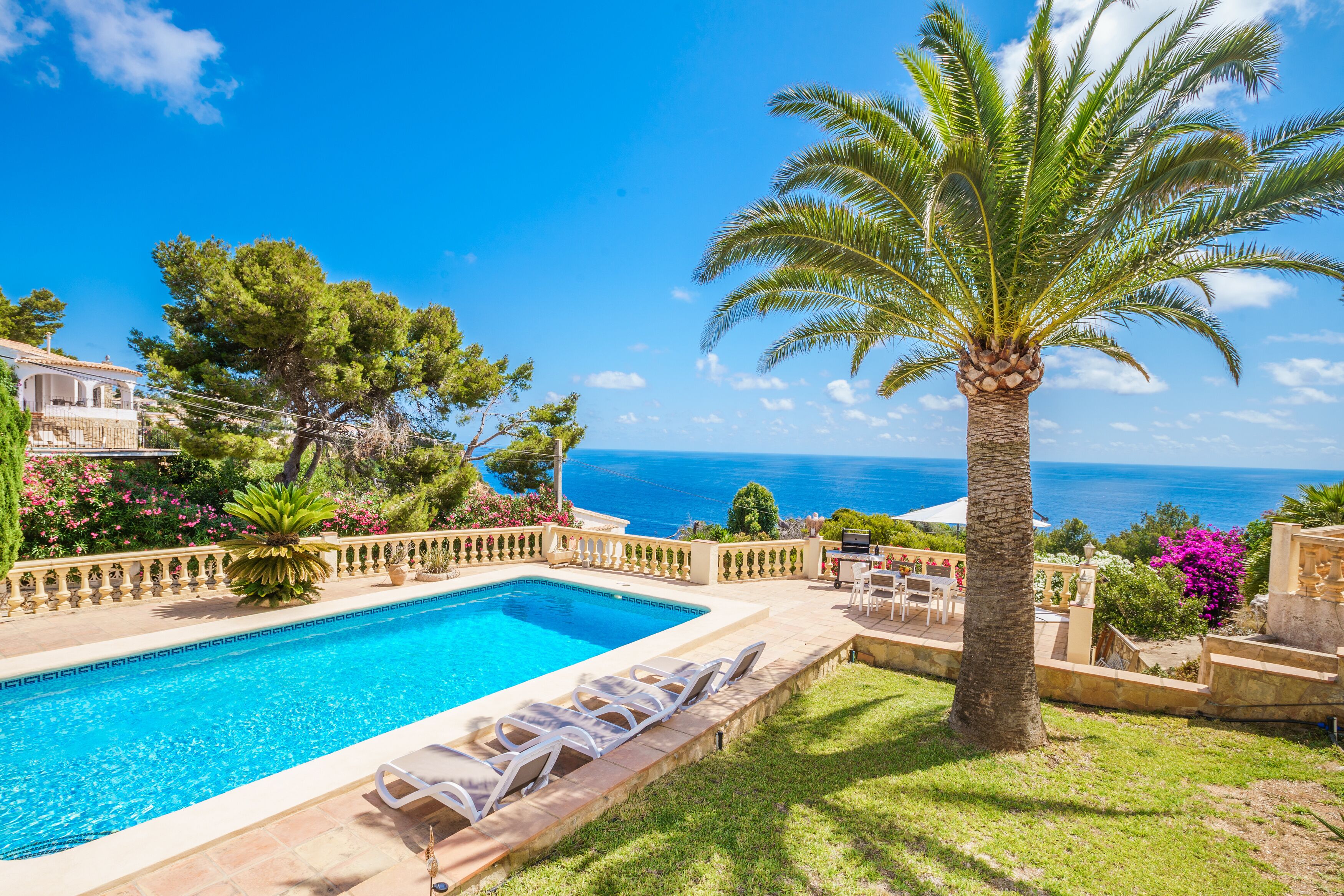 Une piscine avec des chaises longues, un palmier et une vue sur la mer.