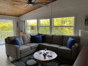 Smart TV, books, printers