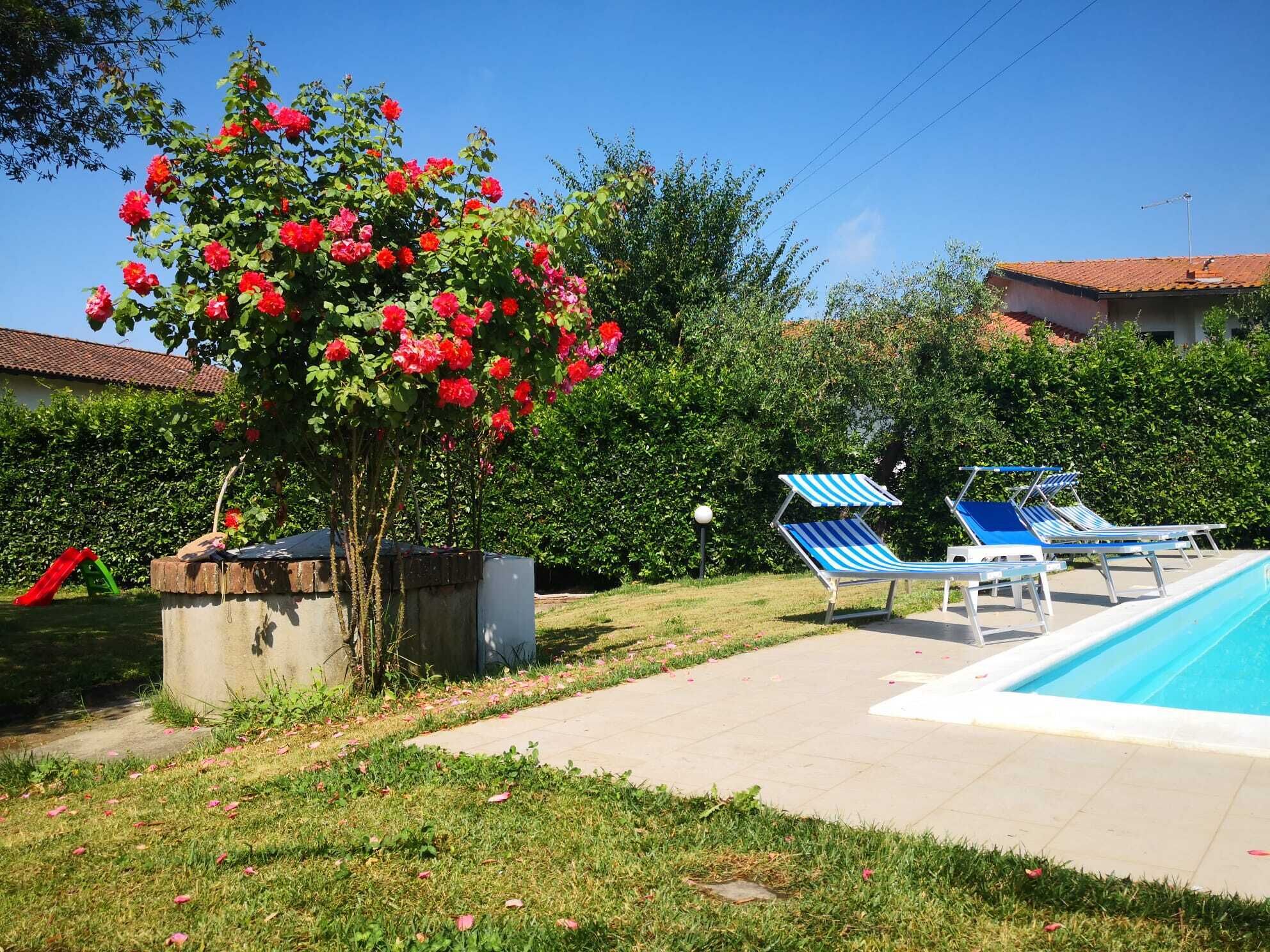 A swimming pool area with lounge chairs and a tree with pink flowers.